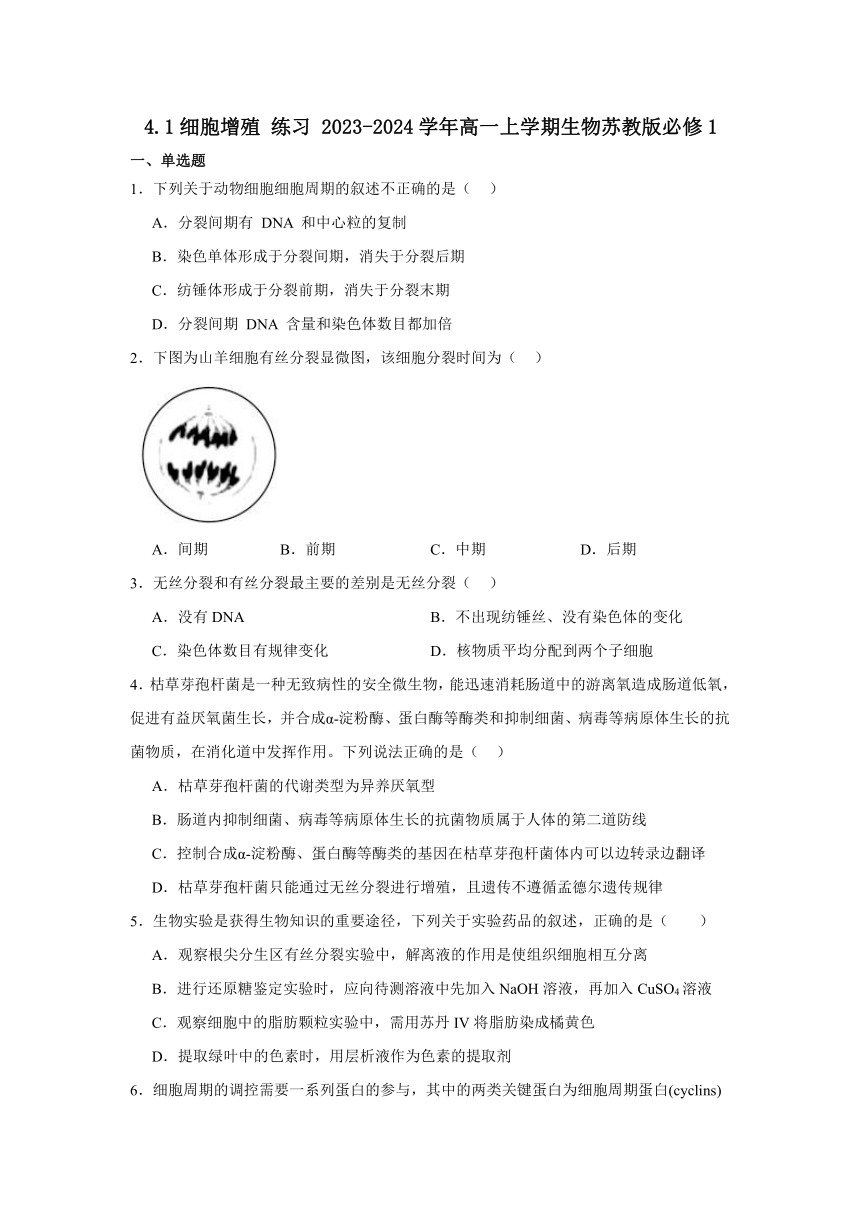 4.1细胞增殖 练习 2023-2024学年高一上学期生物苏教版必修1（含解析）