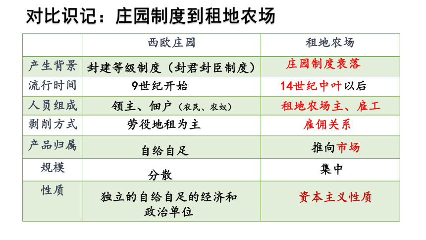 人教部编版九年级上册第13课西欧经济和社会的发展 课件(共19张PPT)