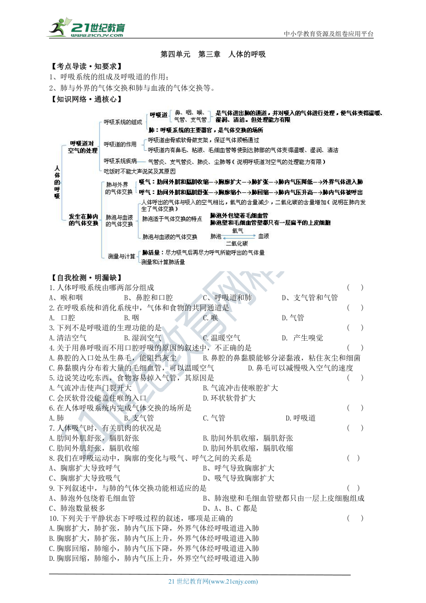 人教版初中生物总复习导学案第四单元第三章人体的呼吸（含答案）