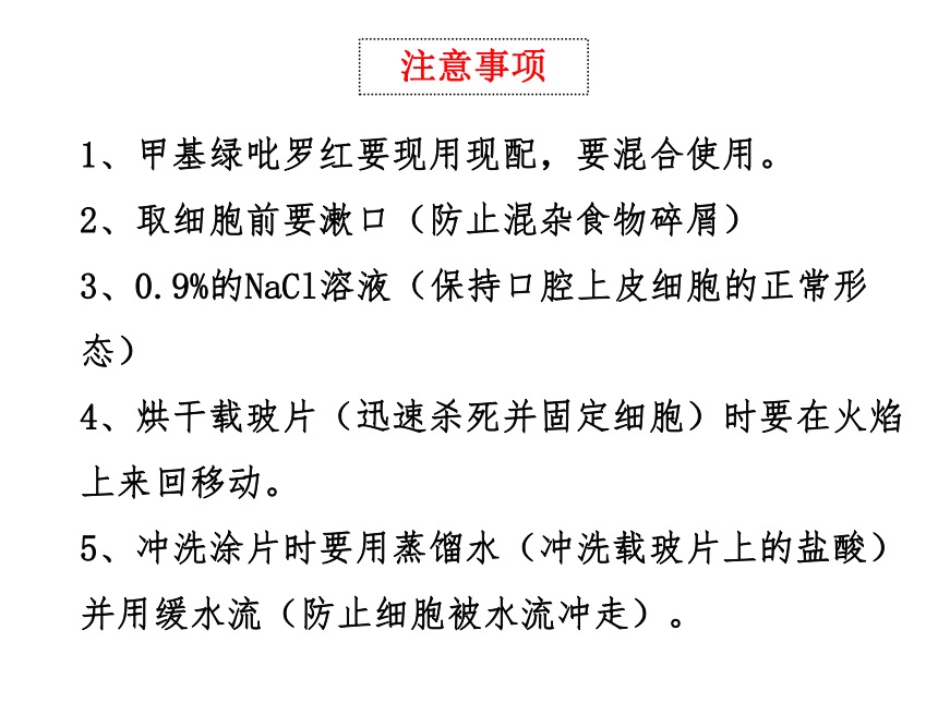 人教版生物高中必修1第三节：遗传信息的携带者---核酸（共31张PPT）