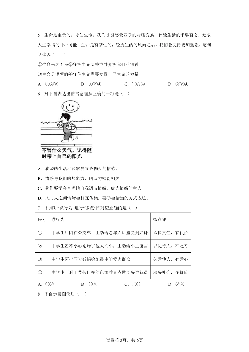 宁夏银川市唐徕中学南校区2023-2024学年九年级下学期期中道德与法治试题（含解析）