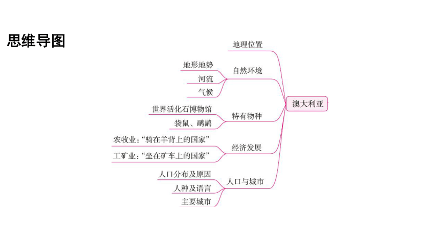 2024年中考地理（福建地区）专题复习：美国、巴西、澳大利亚 课件(共49张PPT)