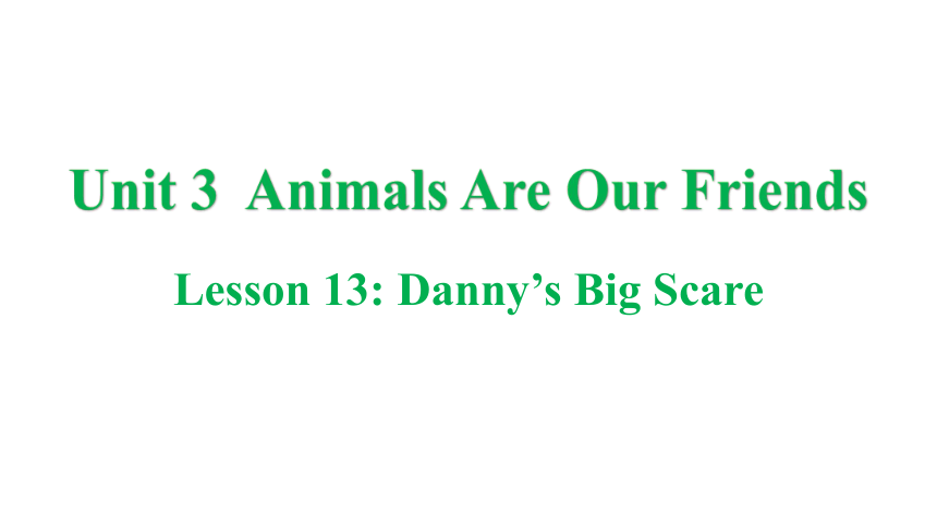冀教版八年级下册Unit 3 Animals Are Our Friends Lesson 13 Danny's Big Scare课件(共30张PPT)