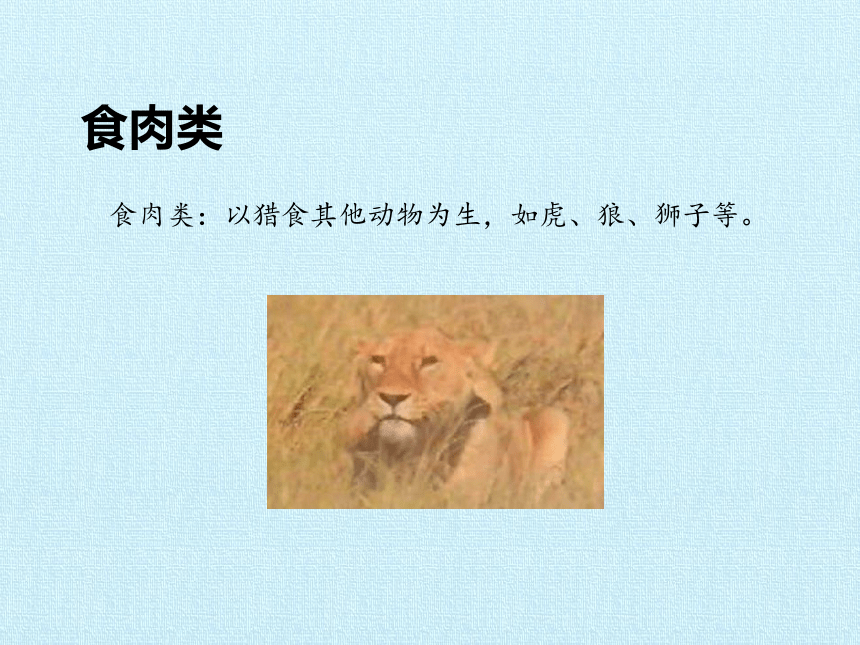 华师大版七年级科学上册 第2章 生物的主要类群 复习课件(共25张PPT)