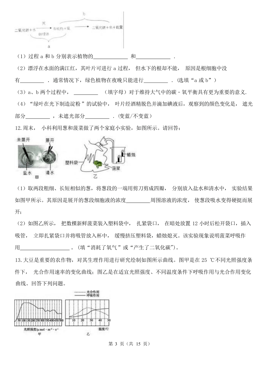 第三章 空气与生命（3.4-3.6） 综合练习（含解析）