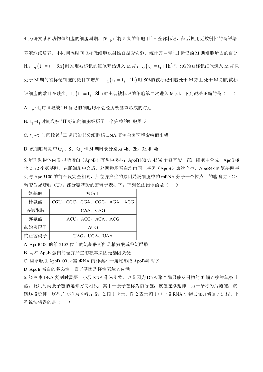 山东省滨州市2024届高三下学期二模考试生物试卷（含答案）