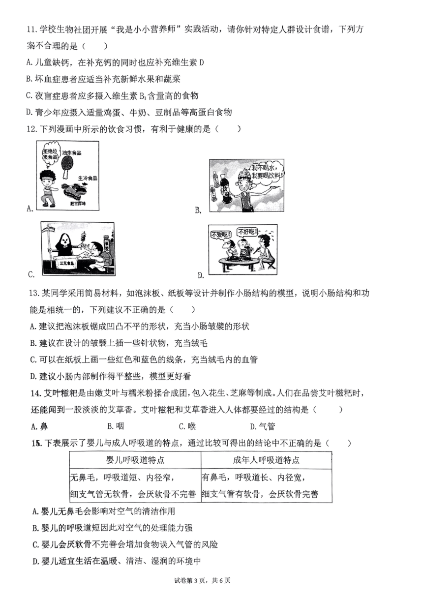 广西南宁市第四十七中学2023-2024学年七年级下学期4月期中生物试题（pdf版无答案）