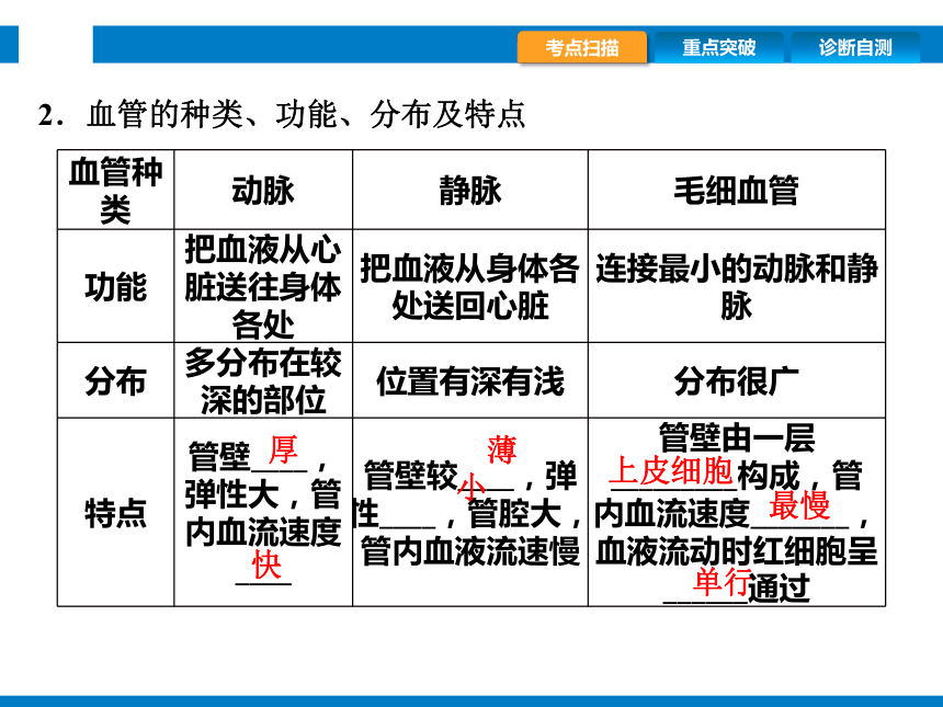 2024浙江省中考科学复习第7讲　动物的新陈代谢（2）（课件 44张PPT）