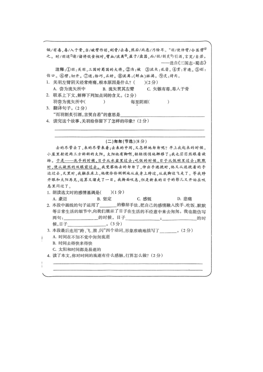 湖南省娄底市2023-2024学年六年级下学期期中语文试题（图片版 有答案）