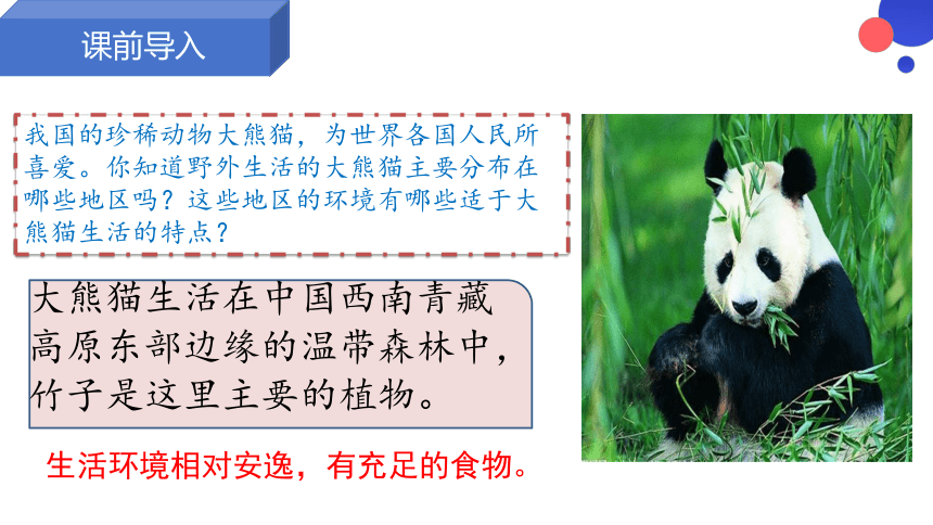 1.2.1生物与环境的关系 授课课件(共22张PPT) 人教版生物七年级上册