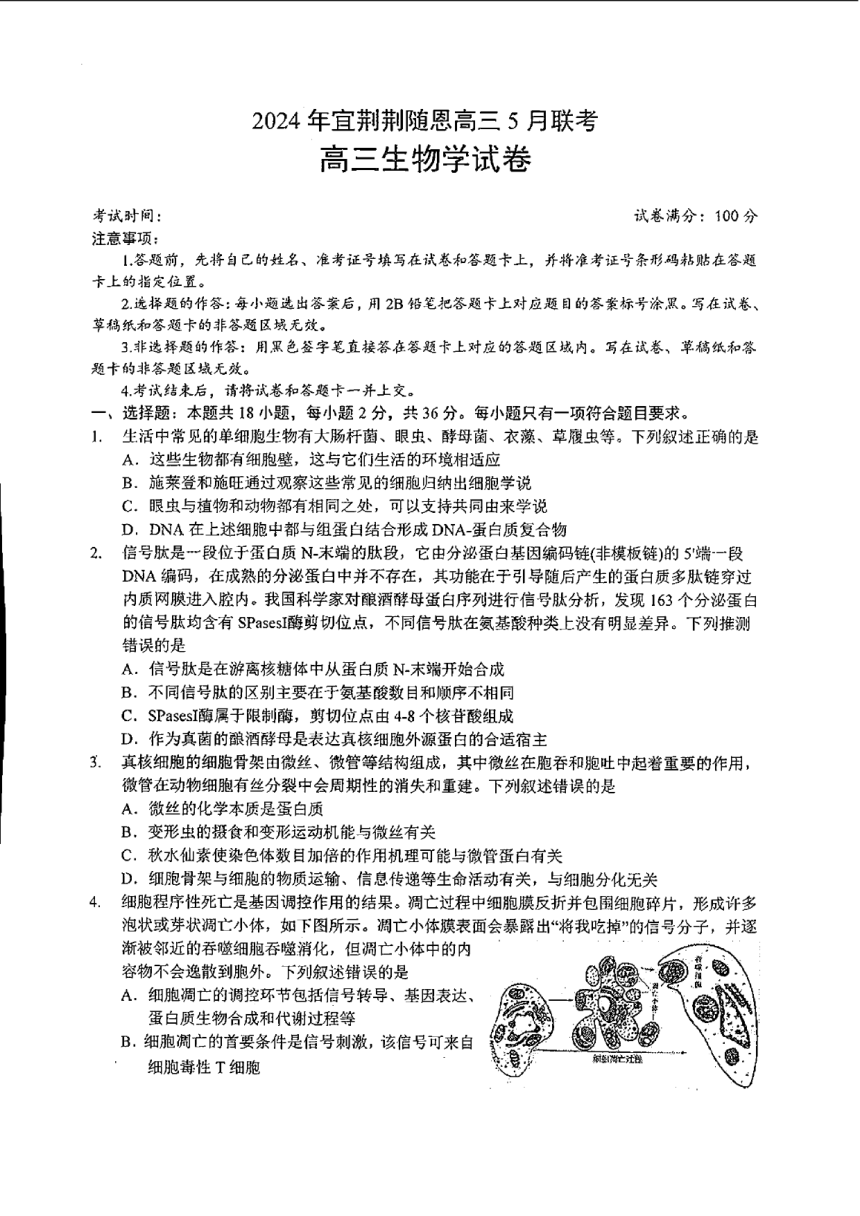 湖北省2024届高三下学期5月联考（二模）生物试卷（图片版，无答案）