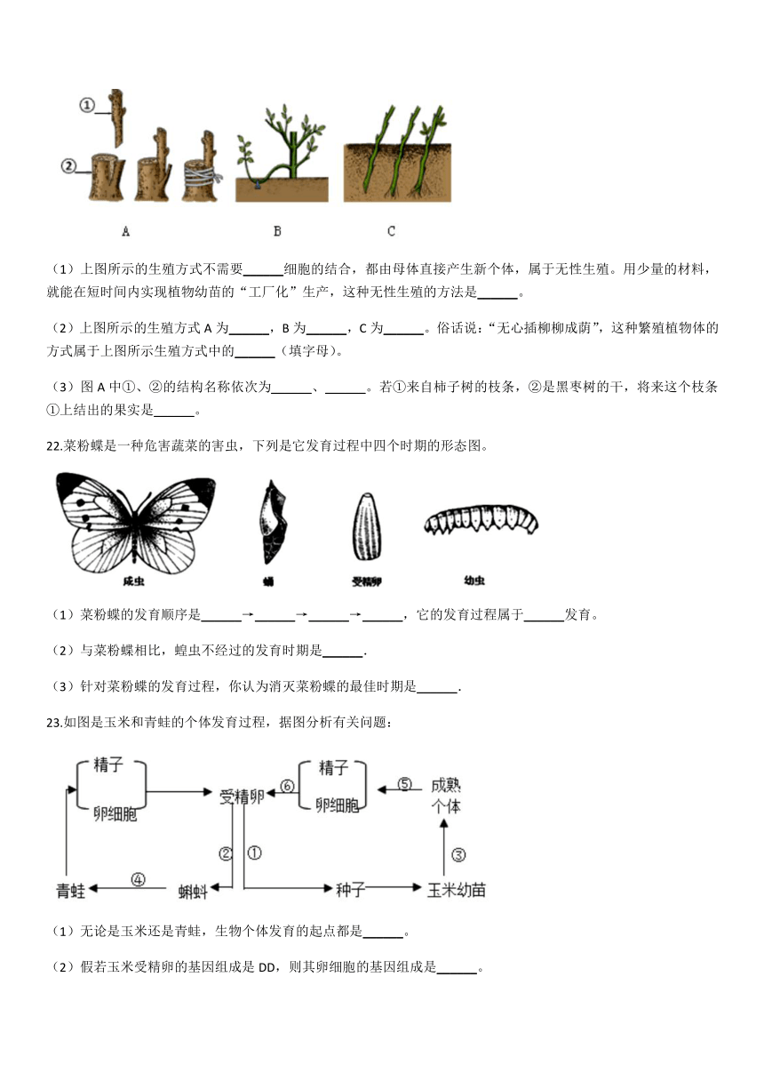 人教版八年级生物下册第七单元第一章生物的生殖和发育 单元测试题（有答案）