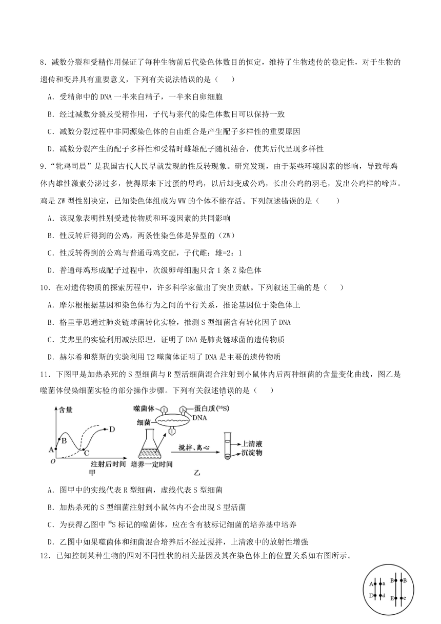 四川自贡市蜀光中学2023-2024学年高一下学期期中考试生物试卷（含答案）