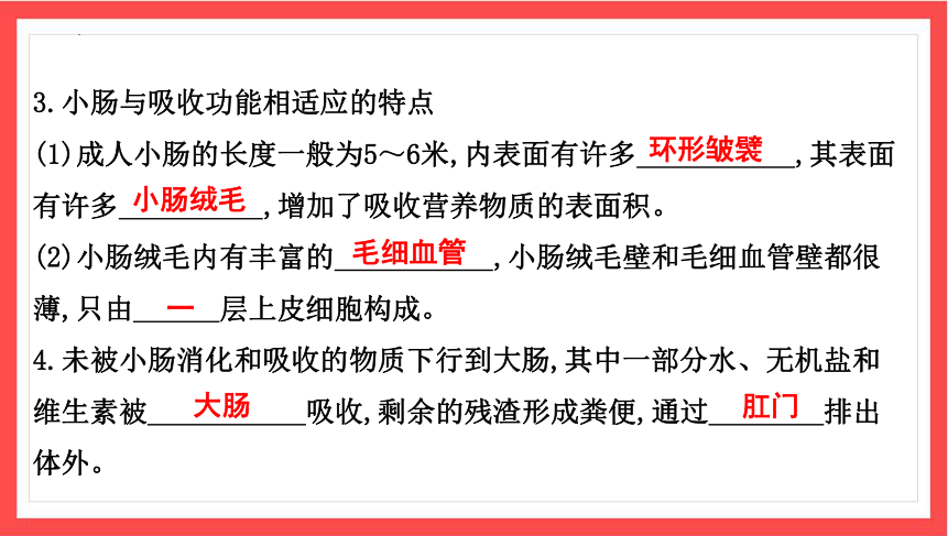 4.2.2 消化和吸收（二）课件(共16张PPT)2023-2024学年人教版生物七年级下册