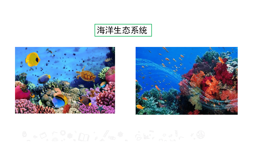 2020年秋苏教版八年级上册生物20.1 生物圈中的各种生态系统 课件(共29张PPT)