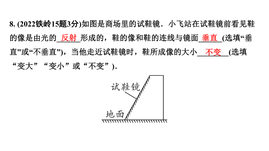 2024辽宁中考物理二轮重点专题研究 第13讲 光现象 习题课件(共71张PPT)