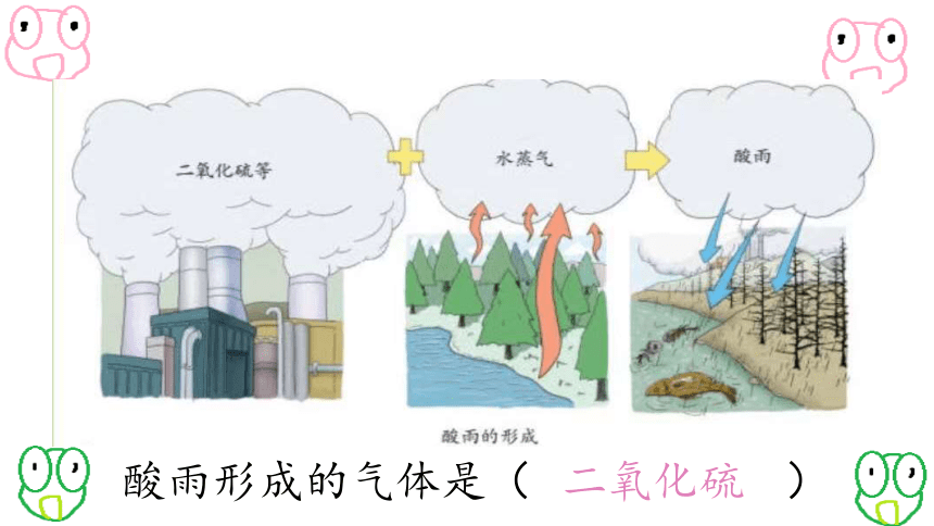4.7.2探究环境污染对生物的影响课件(共17张PPT)人教版七下生物