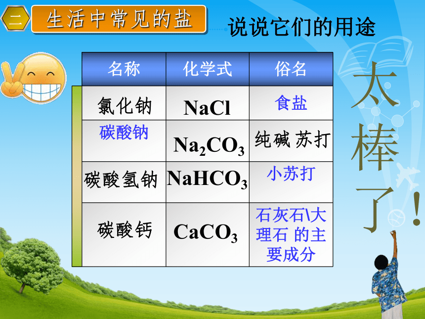 京改版九年级下册化学 第12章 盐复习 课件(30张PPT)