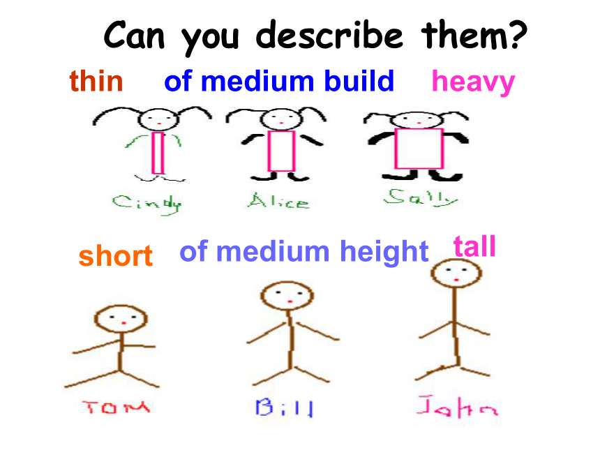 Unit 9 What does he look like? Section A1a~1c课件(共22张PPT)-2023-2024学年人教版英语七年级下册