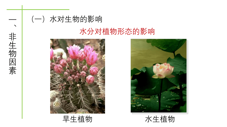 北师大版八年级生物下册教学23.1 生物的生存依赖一定的环境课件 (共25张PPT)