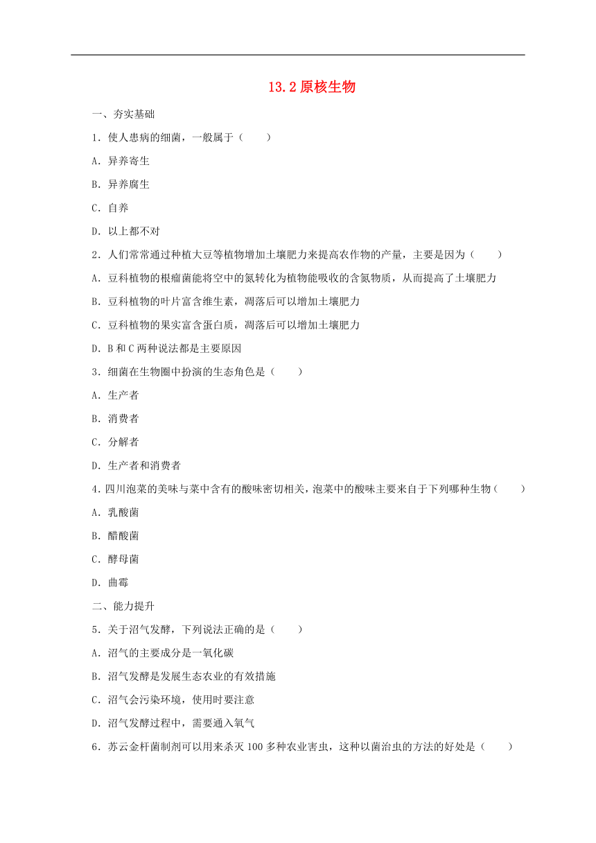 北京版8下生物 13.2 原核生物 同步练习(含解析)