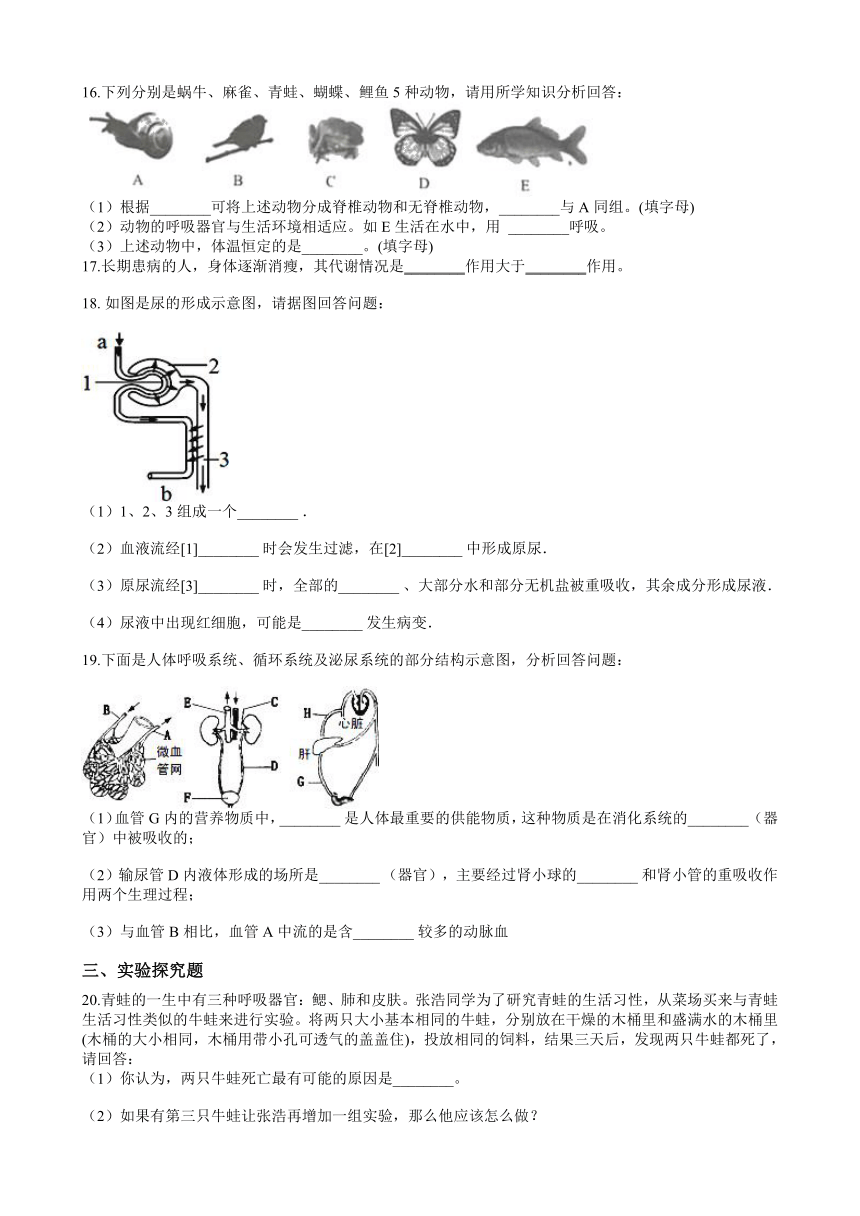 4.4-4.5《能量的获得》《体内物质的动态平衡》综合练习（含答案）