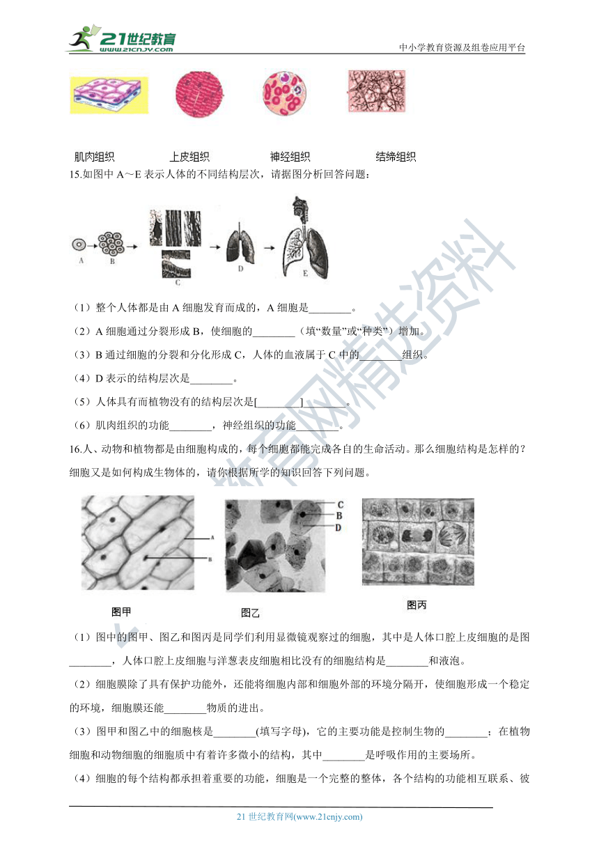 2.2动物体的结构层次 同步训练（含解析）