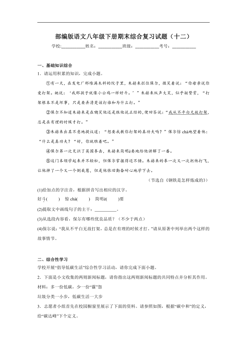 部编版语文八年级下册期末综合复习试题（十二）（含答案）