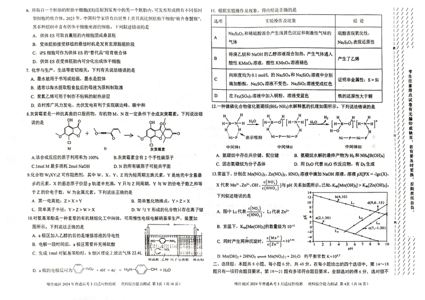 新疆喀什地区2024届高三下学期5月适应性检测试题 理综 （扫描版含答案）