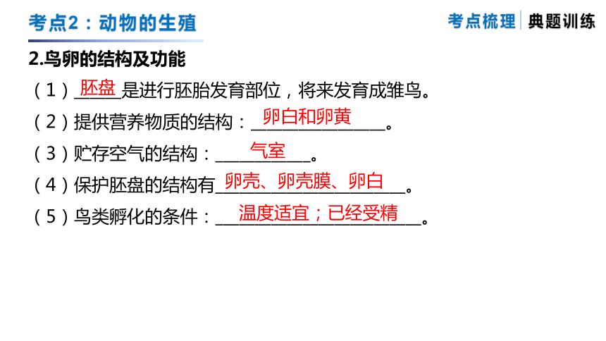 专题08 生物的有性生殖（复习课件）-备战2024年中考生物一轮复习专题精练（苏科版）(共27张PPT)