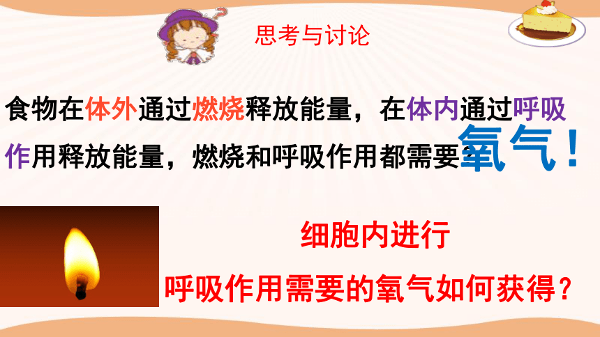 北师大版七年级下册10．2 人体细胞获得氧气的过程 课件 （共19张PPT）