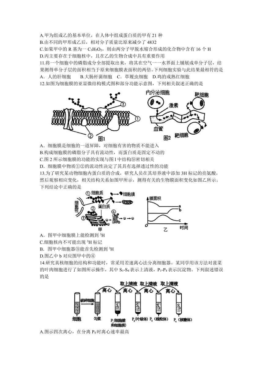 河南省南阳市2023-2024学年高二下学期期中考试生物试题（含答案）