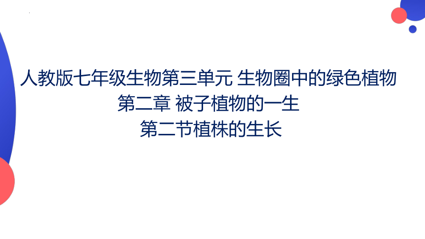 3.2.2植株的生长课件(共25张PPT)2023--2024学年人教版生物七年级上册