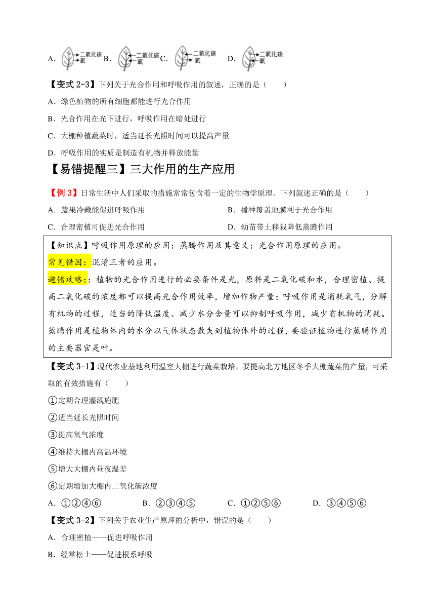 易错点05 绿色植物的三大生理作用-备战2024年中考生物易错题（含解析）