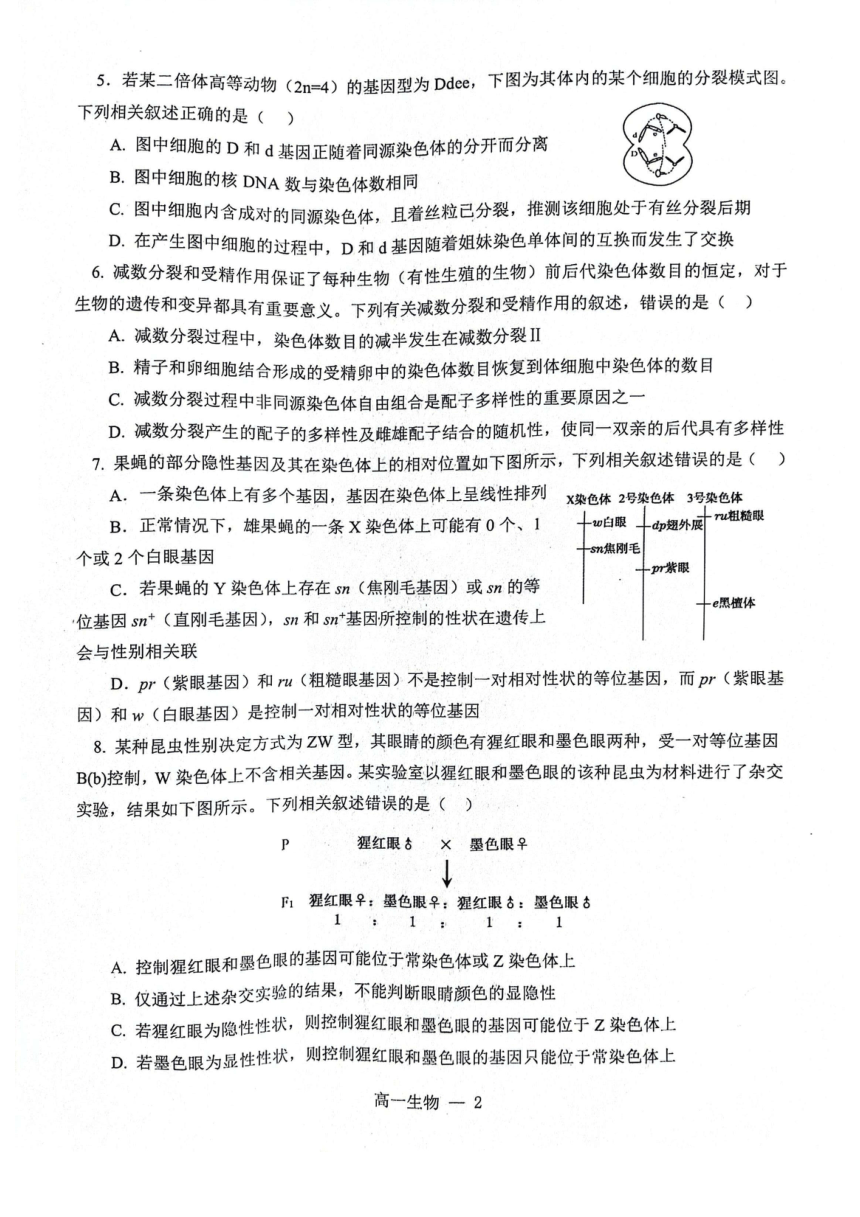 辽宁省部分学校2023-2024学年高一下学期5月期中考试生物试题（pdf版无答案）