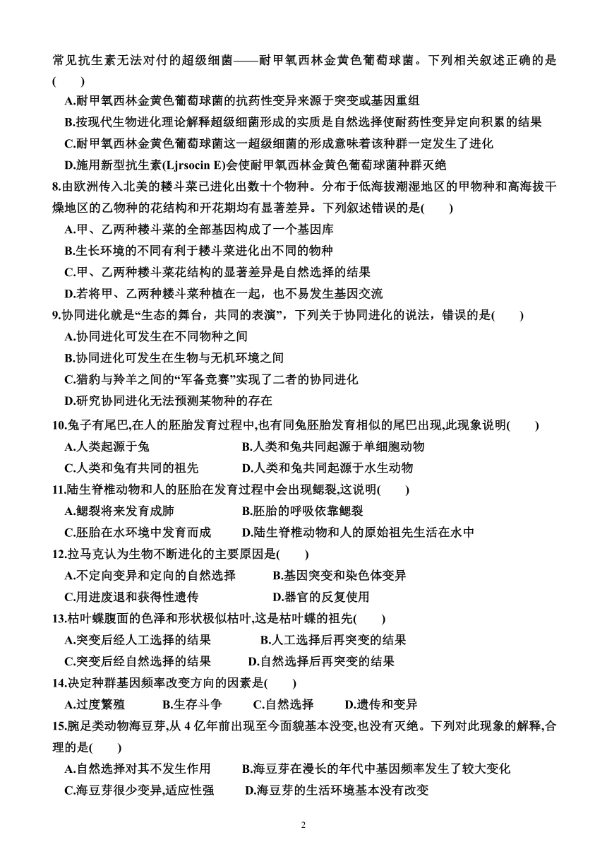 第六章  生物的进化（综合测试卷）（附答案）—2023-2024学年高一下学期生物必修2（人教版(2019））