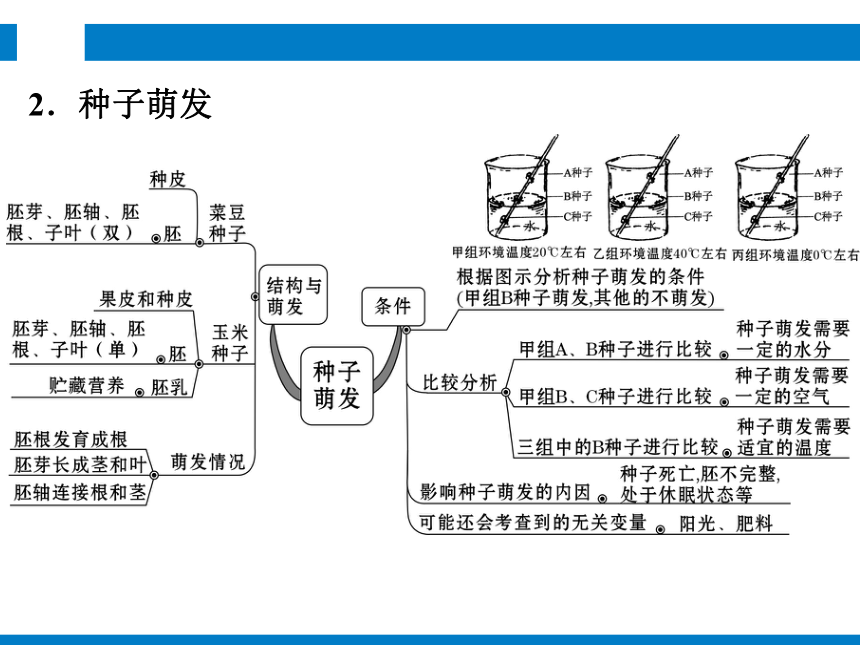 2024浙江省中考科学总复习知识清单 科学实验与探究（课件 84张PPT）