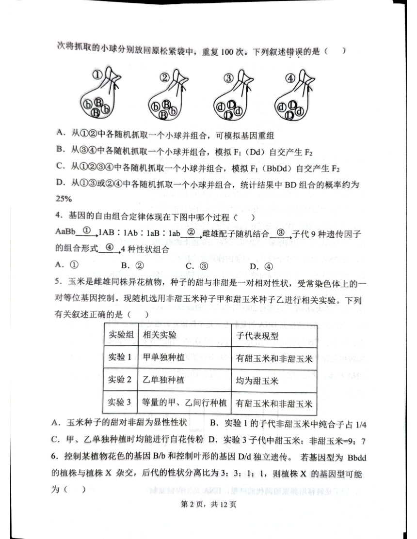 云南省红河哈尼族彝族自治州2023-2024学年高一下学期5月期中考试生物试题（pdf版无答案）