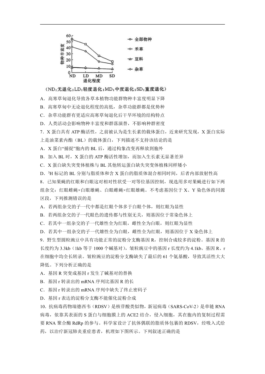 湖北省高中名校联盟2024届高三下学期5月第四次联合测评（三模）生物试题 （含解析）