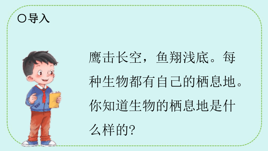 青岛版（六三制2017秋）五年级下册科学  5.19生物的栖息地 课件(共22张PPT)