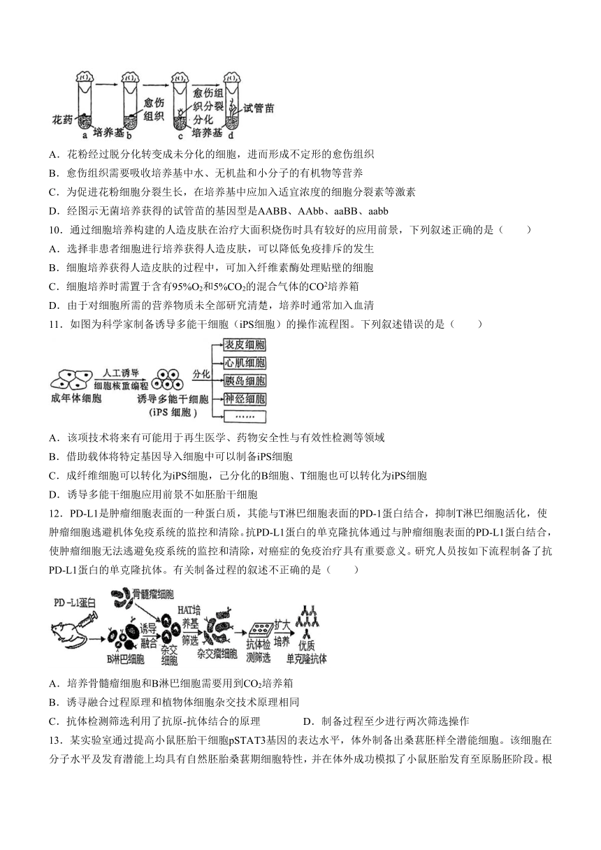 吉林省白山市抚松县第一中学2023-2024学年高二下学期5月期中考试生物学试题（含答案）