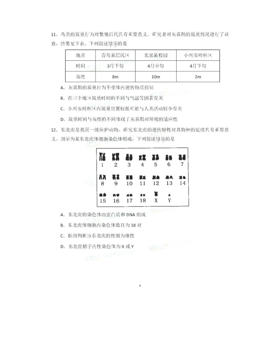 2020年北京市中考生物试题（图片版含答案）