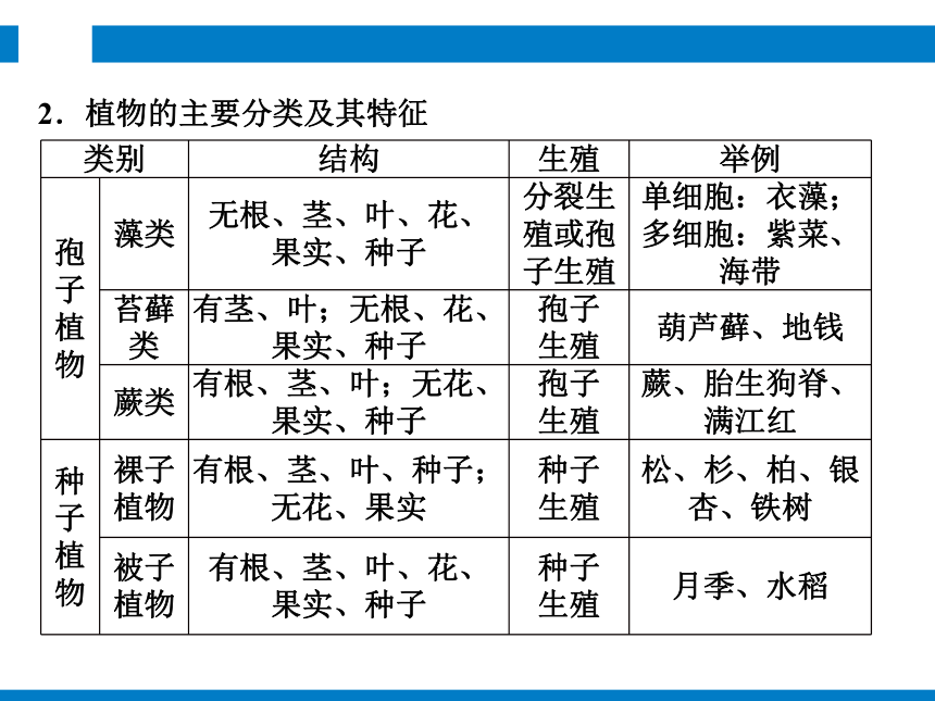 2024浙江省中考科学复习 第1讲　生物的分类（课件 54张PPT）