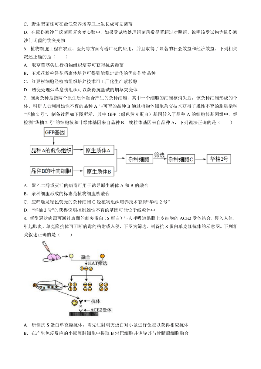 辽宁省实验中学2023-2024学年高二下学期期中阶段测试生物学试题（含答案）