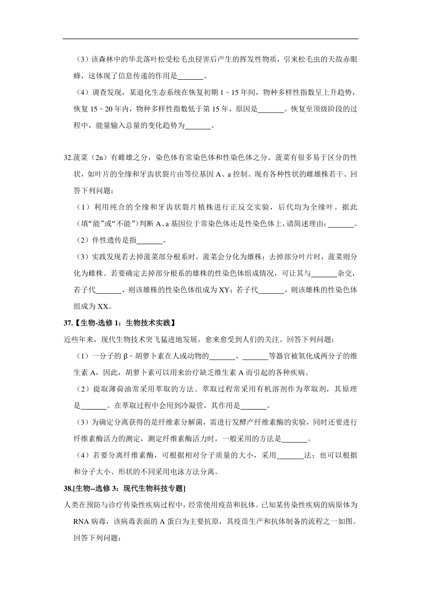 河南省三门峡市外国语高级中学2020届高三模拟（四）考试生物试卷