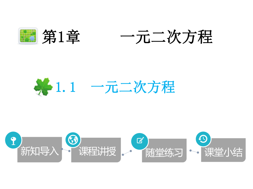 2020秋苏科版九年级数学上册1.1 一元二次方程 课件(共19张PPT)