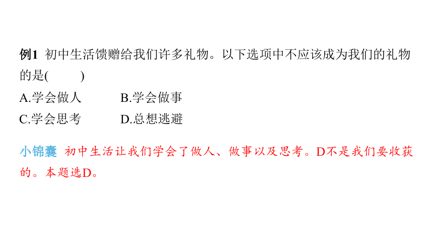 （核心素养目标）7.1 回望成长  学案课件(共17张PPT) 2023-2024学年道德与法治统版九年级下册