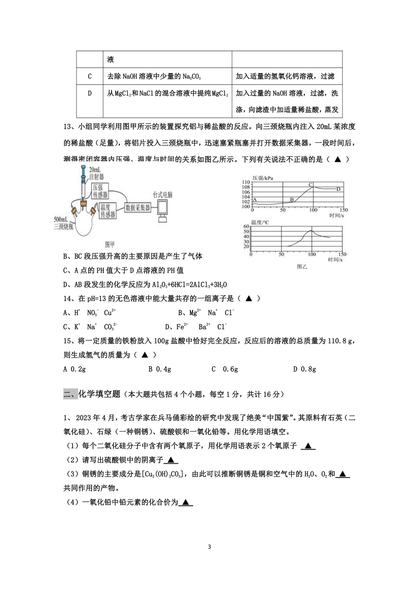 2024年四川省乐山市马边县中考适应性考试化学试题（无答案）