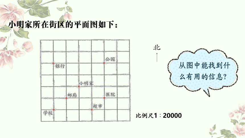 六年级下册数学人教版：图形与位置-教学课件(共14张PPT)