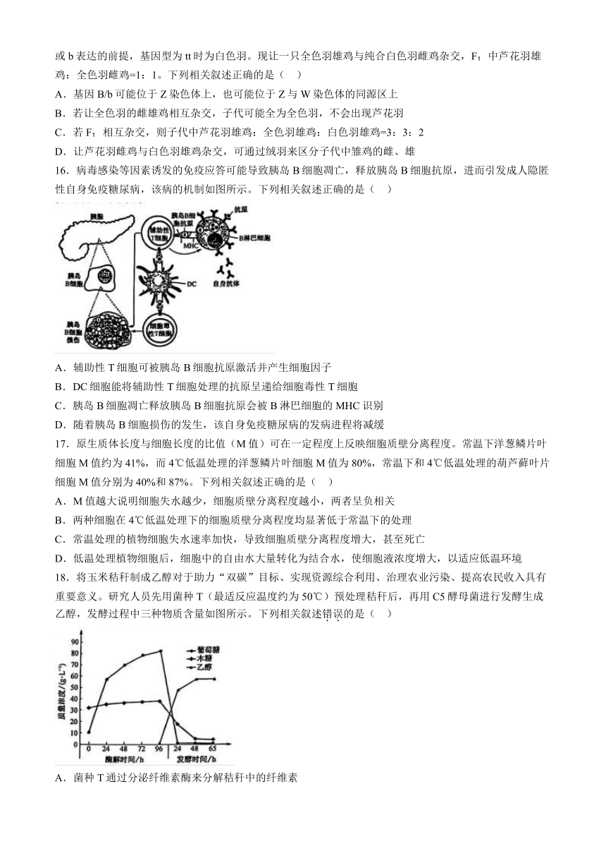 2024届河北省沧州市部分高中高三下学期二模生物试题（含解析）